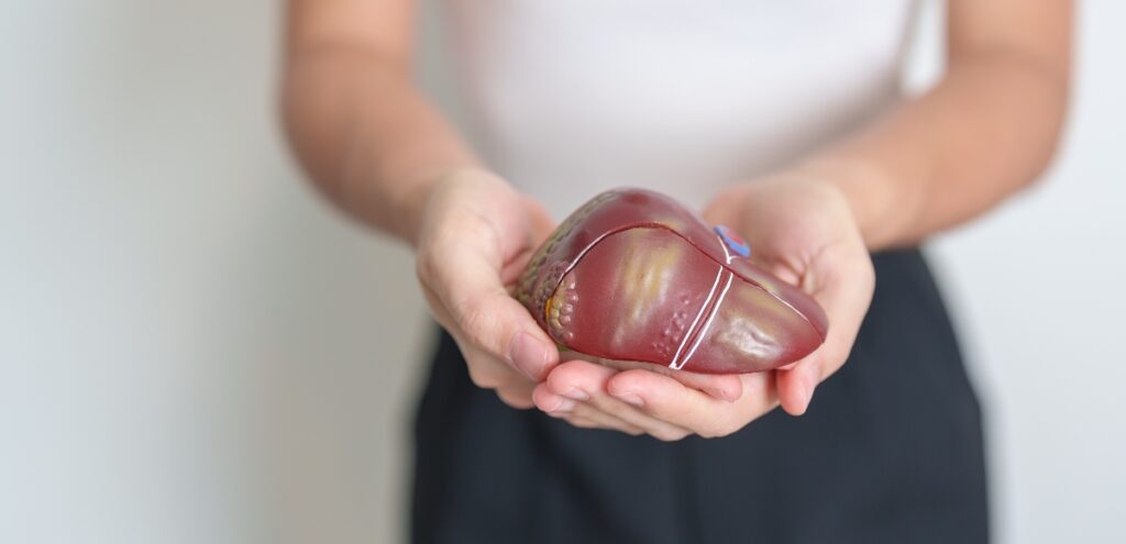 esami per la funzionalità epatica