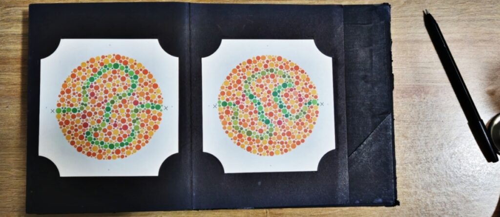 test ishihara santagostino busto arsizio